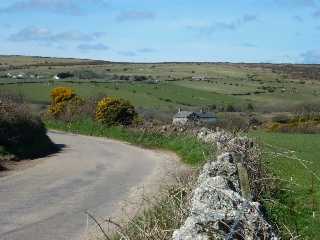 The countryside at Towednack.