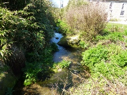 Small stream in Zennor.